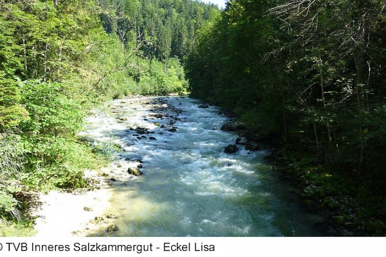 Hotel Trek Safari - Nenáročná turistika v Solné komoře